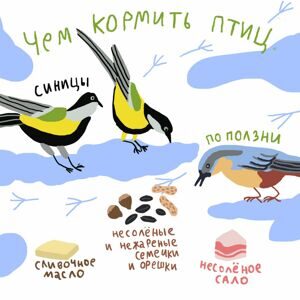 Зачем кормить птиц